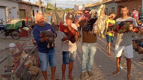 VANIO DAS GALINHAS MOSTRANDO AS NOVIDADES DA FEIRA DA FUMAGEIRA EM