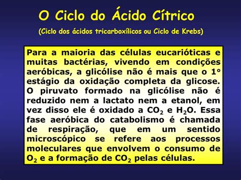 O Ciclo Do Ácido Cítrico Ppt Carregar