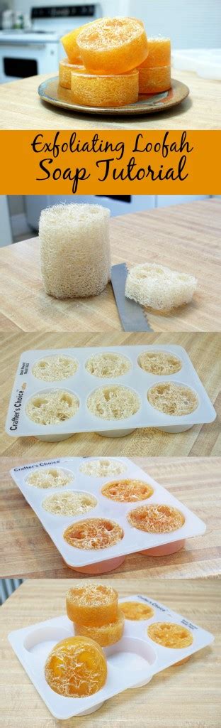 Diy Melt And Pour Loofah Soap Recipe Soap Deli News