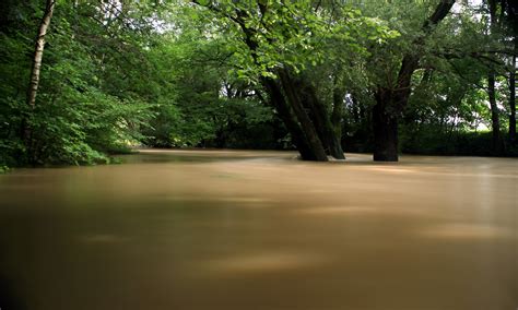 Hochwasser An Der Innersten Foto And Bild Landschaft Bach Fluss And See