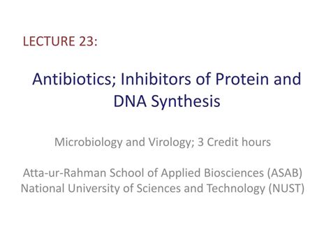 PPT - Antibiotics; Inhibitors of Protein and DNA Synthesis PowerPoint ...