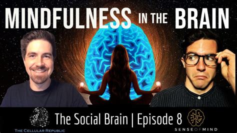 The Social Brain Ep 8 The Neuroscience Of Mindfulness How Meditation