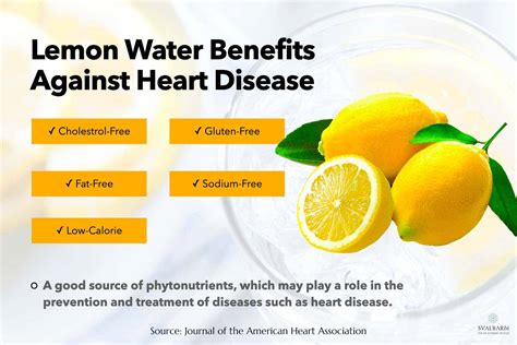 Drinking Lemon Water Daily — Fact Based Nelly Doretha 56 Off