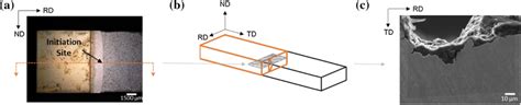 Schematics Of The Tl Sample Preparation For Fractographic Profile