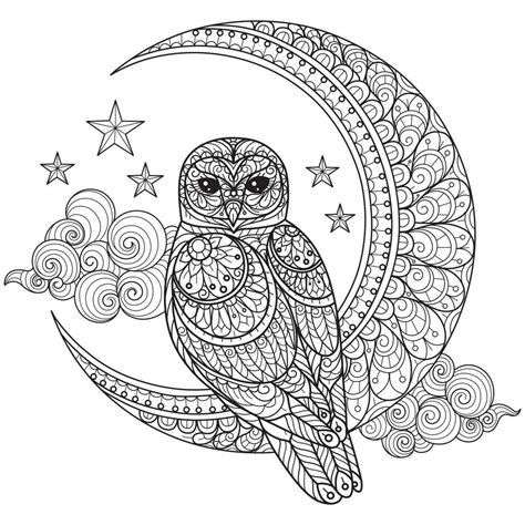 Owl And Moon Hand Drawn For Adult Coloring Book 5458633 Vector Art At