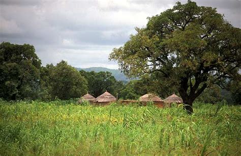 Ghana pictures. Bolgatanga, Tamale, Zebila, Cape Coast, White Volga ...