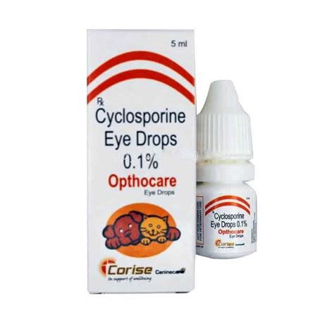 Can You Put Cyclosporine Eyedrops In Dogs Eye