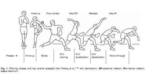 Biomechanics Of Throwing YouTube