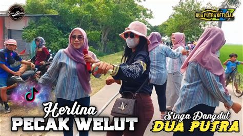 HERLINA PECAK WELUT SINGA DANGDUT DUA PUTRA SHOW DESA GARDUMUKTI