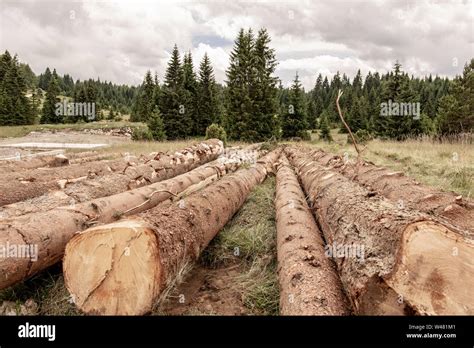 Deforestation Brazil Hi Res Stock Photography And Images Alamy