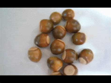 How To Homemade Anal Beads An In Depth Guide