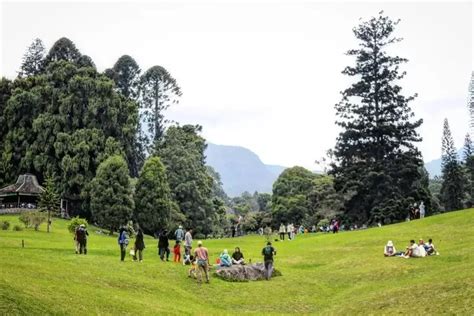 Kunjungan Wisatawan Ke Cianjur Sentuh Angka Rekor Hingga Oktober 2023