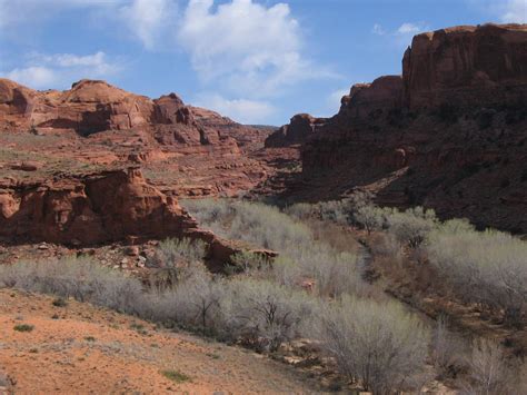 Escalante River Canyon by brizzledood on DeviantArt