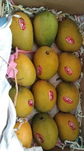 Yellow Devgad Alphonso Hapus Mango Carton Packaging Size Kg At Rs