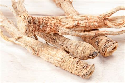 Dried Ginseng Stock Photo Image Of Background Spice 44770472