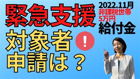 【11月1日時点：5万円給付 追加情報】緊急支援給付金｜住民税非課税でなくても申請可能 Youtube