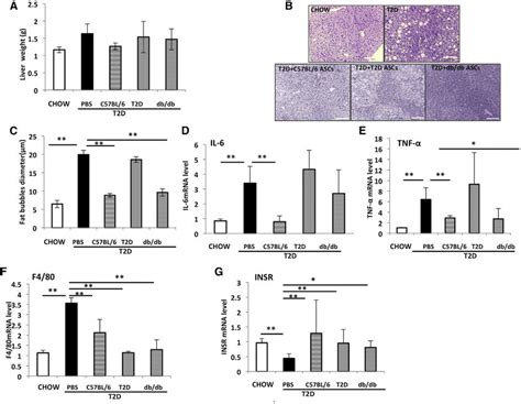 Asc Infusion Reduces Liver Steatosis And Inflammation And Increases