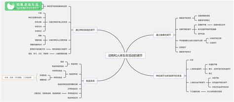 高中生物必修一思维导图：细胞的物质输入和输出知犀官网