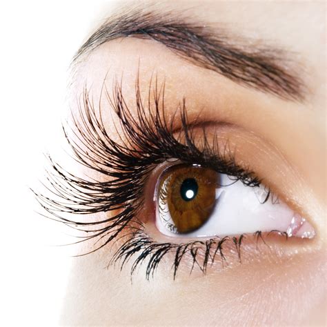 lash lift  jlounge   time   holidays boulder