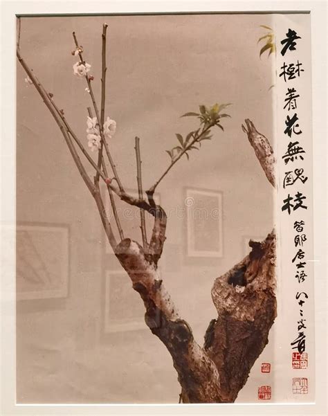 Art Macao Wynn Antique Chinese Nature Cherry Blossom Photography Arts