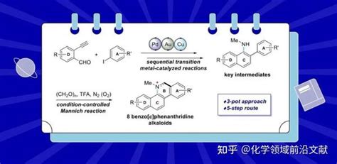 沈阳药科大学刘永祥课题组ol：连续过渡金属催化的“一锅法”对苯并 C 菲啶类生物碱的集群式全合成 知乎