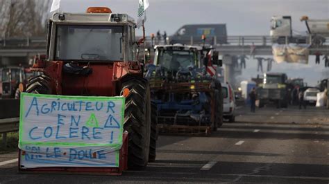 La Crisis Agrícola en Francia Protestas que Resonarán en 85