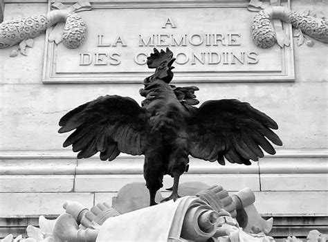 Pourquoi le coq est il l animal emblématique de la France FranceSoir