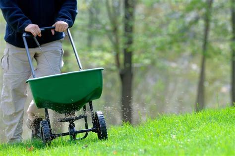 Fertilizer Guidelines Yard Care