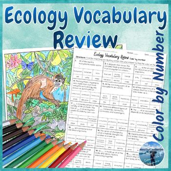 Ecology Ecosystems Vocabulary Review Activity Color By Number Activity