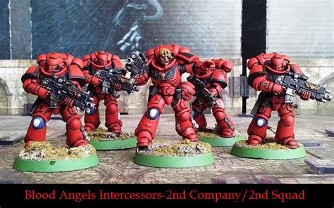 Blood Angel Intercessors Blood Angels Successors The Bolter And