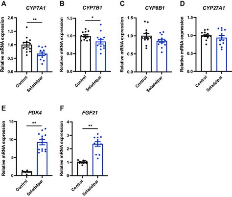 Effect Of Seladelpar On Cyp A Expression In Primary Human Hepatocytes