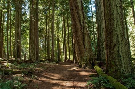 Heritage Forest, Qualicum Beach BC