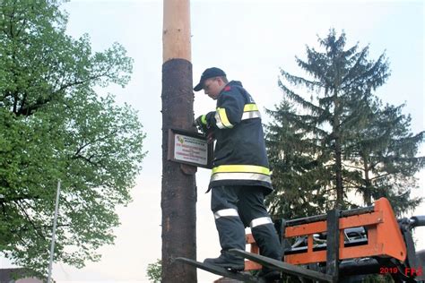 Maibaum Aufstellen Freiwillige Feuerwehr Zeiselmauer