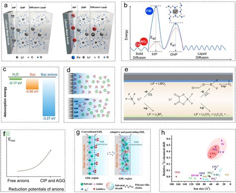 Regulation Of Edl And Sei Composition And Structure Via Anions A The