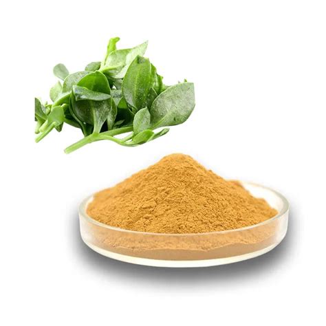 Regarding Andrographis Paniculata Extract Powder An Anti