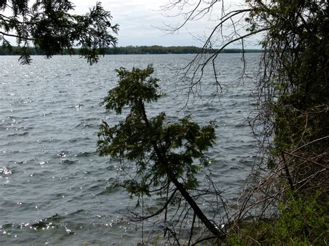 P1010509 Balsam Lake Provincial Park Shoreline Jim Munson Flickr