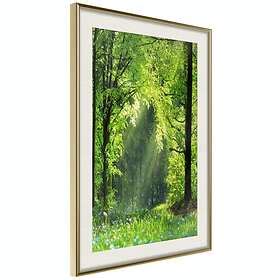 Artgeist Poster Affisch Rebirth Of Nature Poster 40x60 A3 DRBPRP1707l