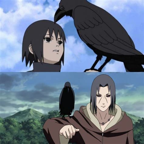 Itachi with his Crow | Anime, Itachi, Artwork