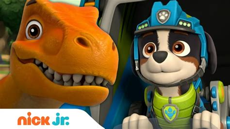 Paw Patrol Dino Rescue 🦖 Mini Episode Nick Jr Youtube