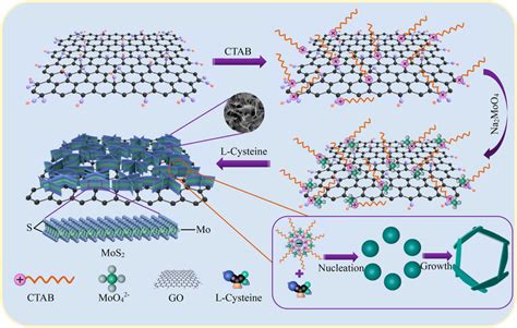 The Mechanism Diagram Of The Mos Nanosheets In Situ Grown On Both