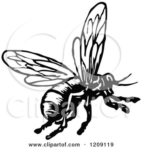 Clipart of a Vintage Black and White Flying Bee - Royalty Free Vector ...