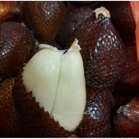 Fresh Salak Salak Madu Salak Pondoh Manis G Shopee Malaysia