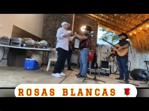 La Potencia R Ft Arnulfo Jr Rosas Blancas En Vivo Youtube