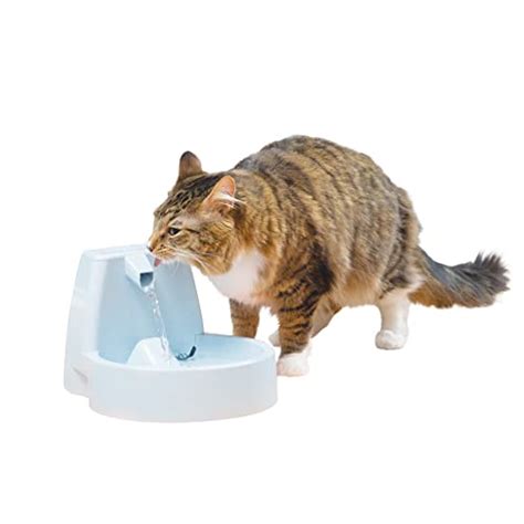 Best Cat Water Fountains Complete Guide