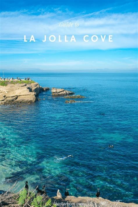 La Jolla Cove Things To Do Beach Directions Parking A Local S Guide Artofit