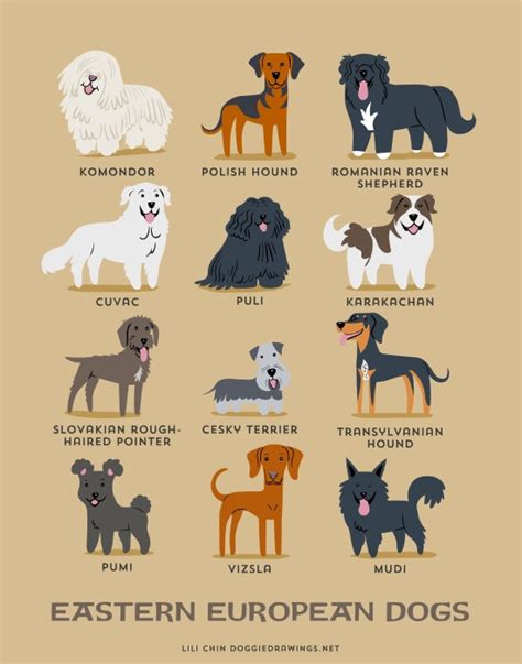 This List Will Tell You Your Dogs Geographic Origin