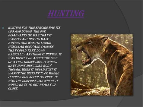 Ppt Saber Tooth Tiger Powerpoint Presentation Free Download Id 2581445