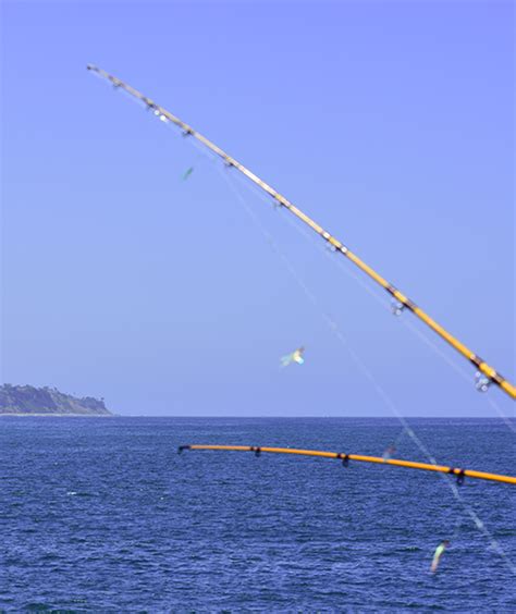 ACTIVITIES – Redondo Pier