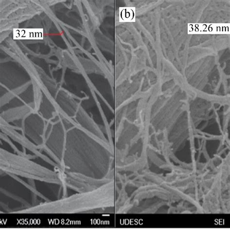 Nanocellulose Morphology Obtained By Sem With A Magnification Of A