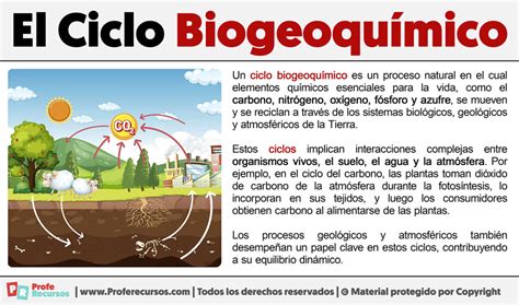 Qu Es El Ciclo Biogeoqu Mico